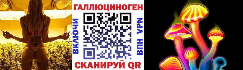 площадка как зайти  Гусев  Псилоцибиновые грибы GOLDEN TEACHER 